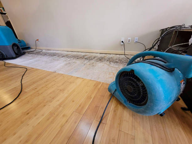 Professional Water Extraction technician working in Piqua, OH
